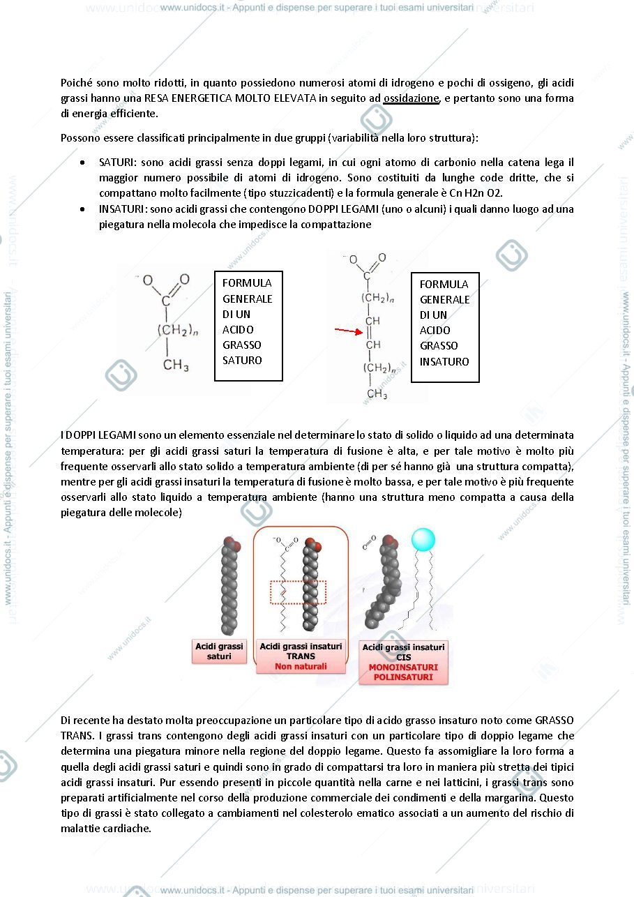 Anteprima pagina 2 — biologia generale e cellulare - Lipidi e Carboidrati