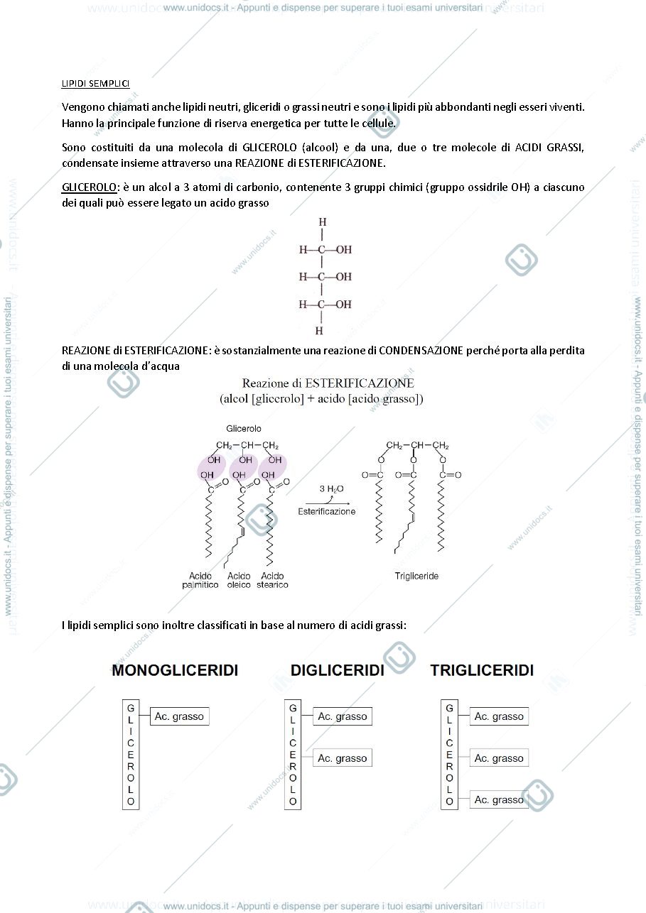 Anteprima pagina 3 — biologia generale e cellulare - Lipidi e Carboidrati