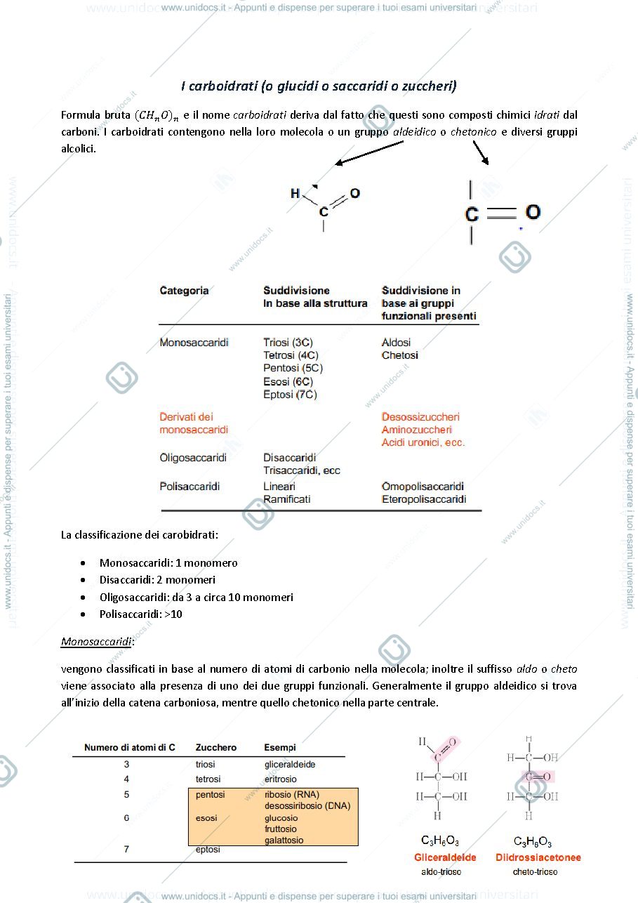 Anteprima pagina 1 — Biologia generale: dalle macromolecole alla replicazione del DNA