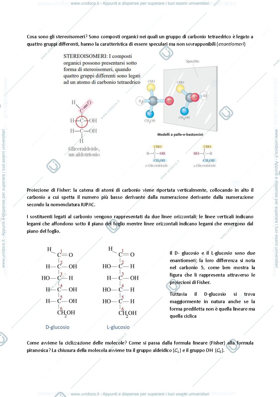 Anteprima pagina 2 — Biologia generale: dalle macromolecole alla replicazione del DNA