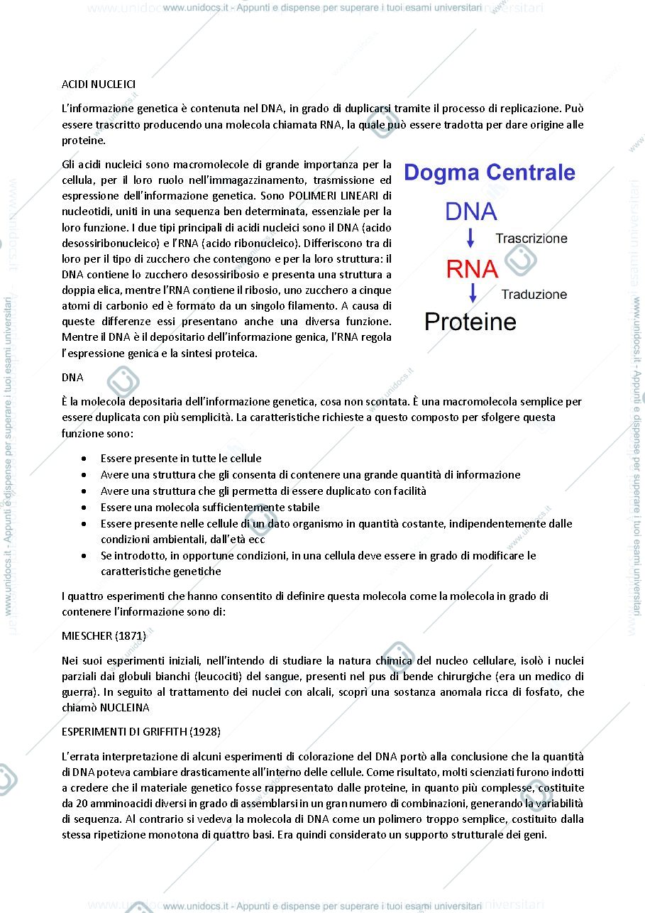 Anteprima pagina 1 — biologia generale e cellulare - Acidi nucleici