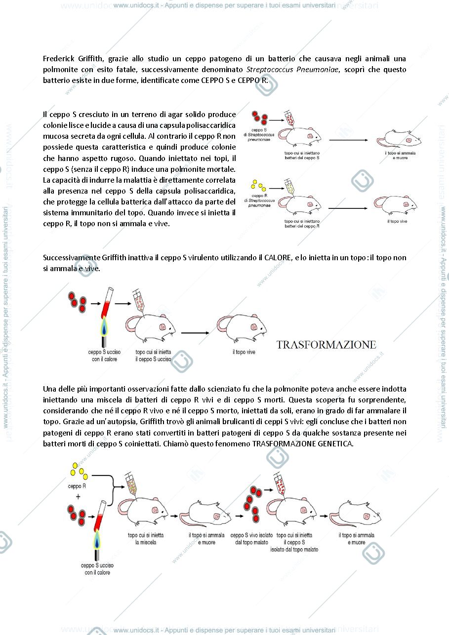 Anteprima pagina 2 — biologia generale e cellulare - Acidi nucleici