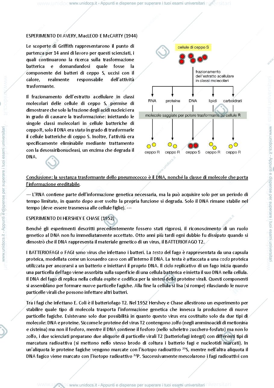 Anteprima pagina 3 — biologia generale e cellulare - Acidi nucleici