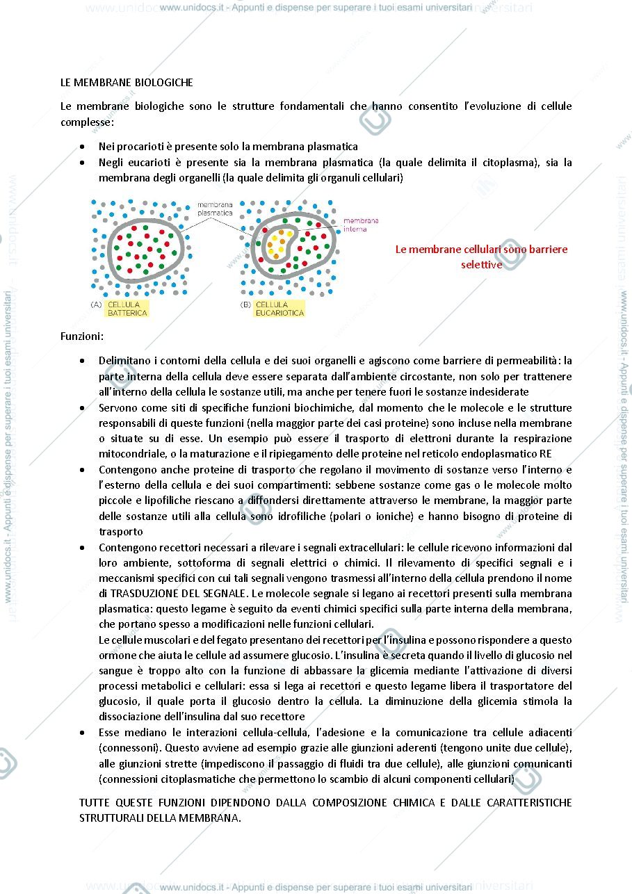 Anteprima pagina 1 — biologia generale e cellulare - Le Membrane