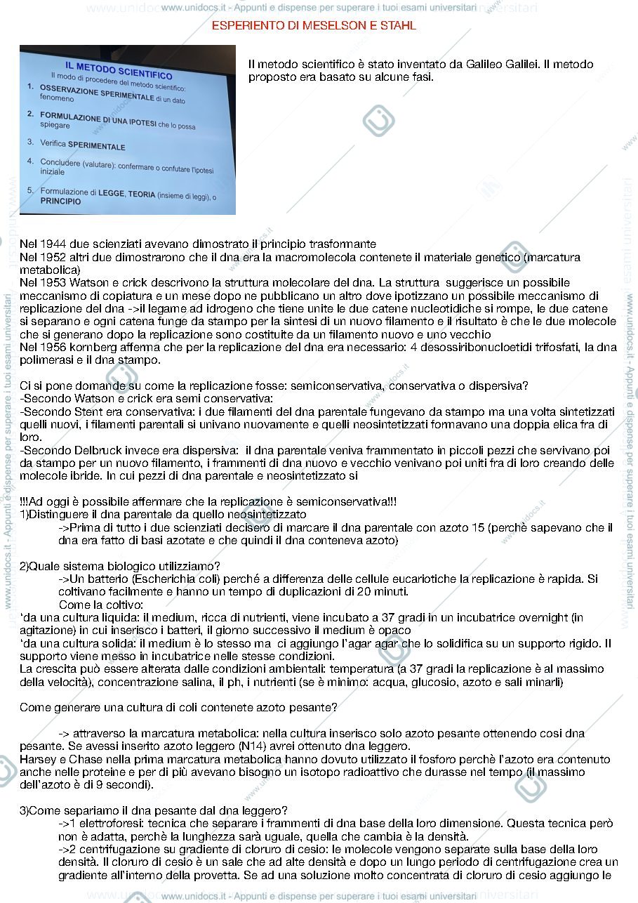 Anteprima pagina 1 — Appunti esercitazione biologia