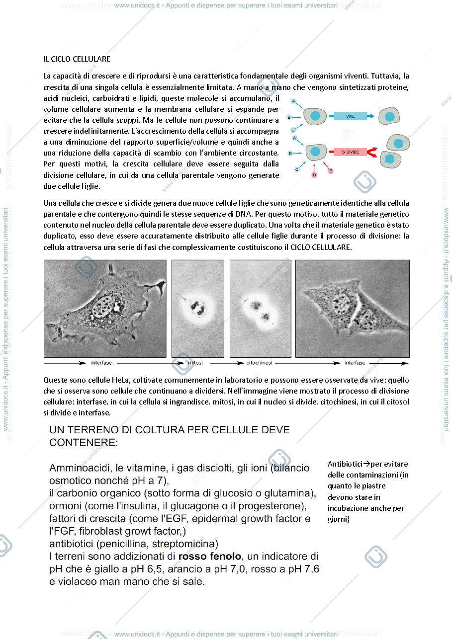 Anteprima pagina 1 — biologia generale e cellulare - Il Ciclo cellulare (mitosi e meiosi)