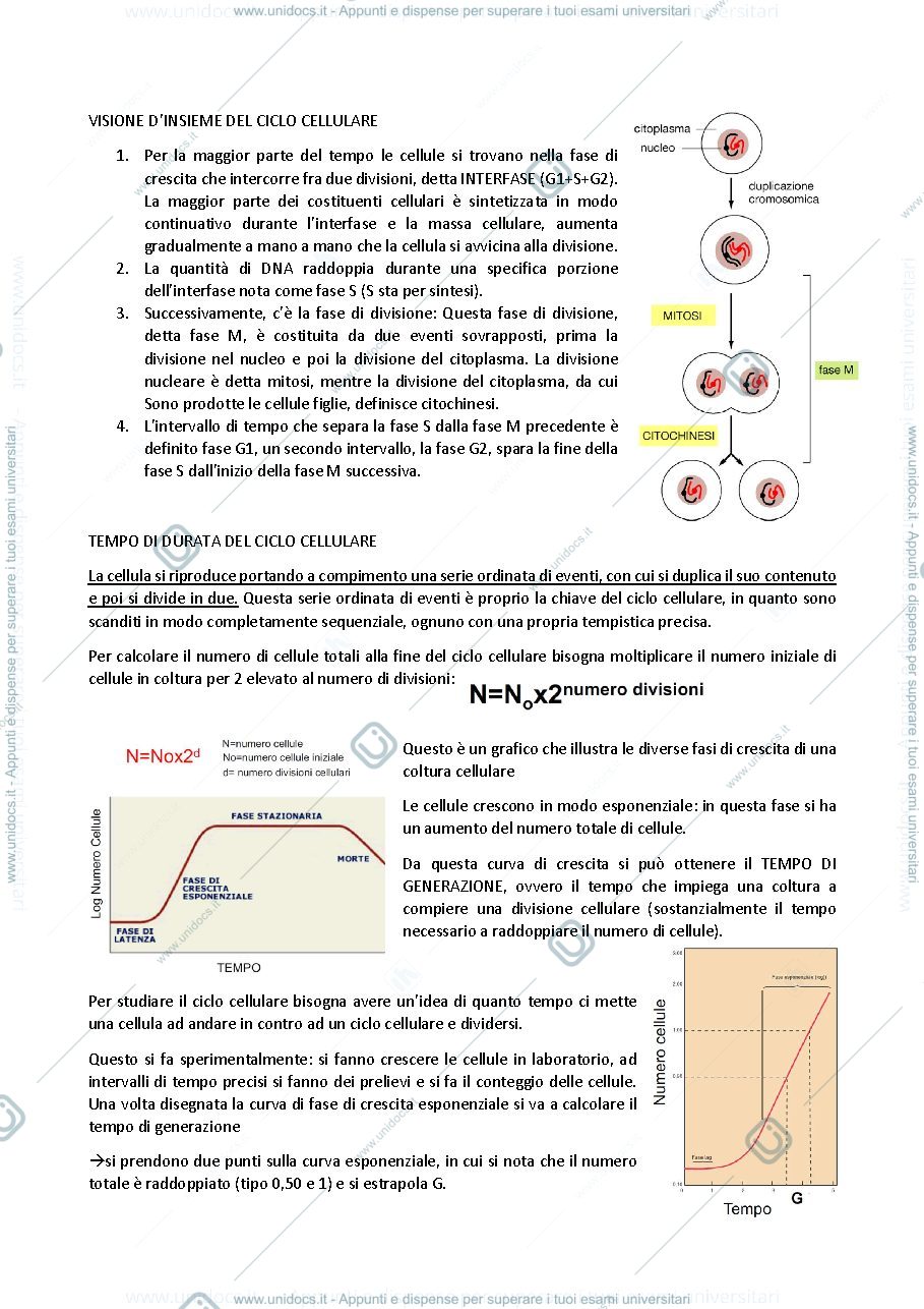 Anteprima pagina 2 — biologia generale e cellulare - Il Ciclo cellulare (mitosi e meiosi)