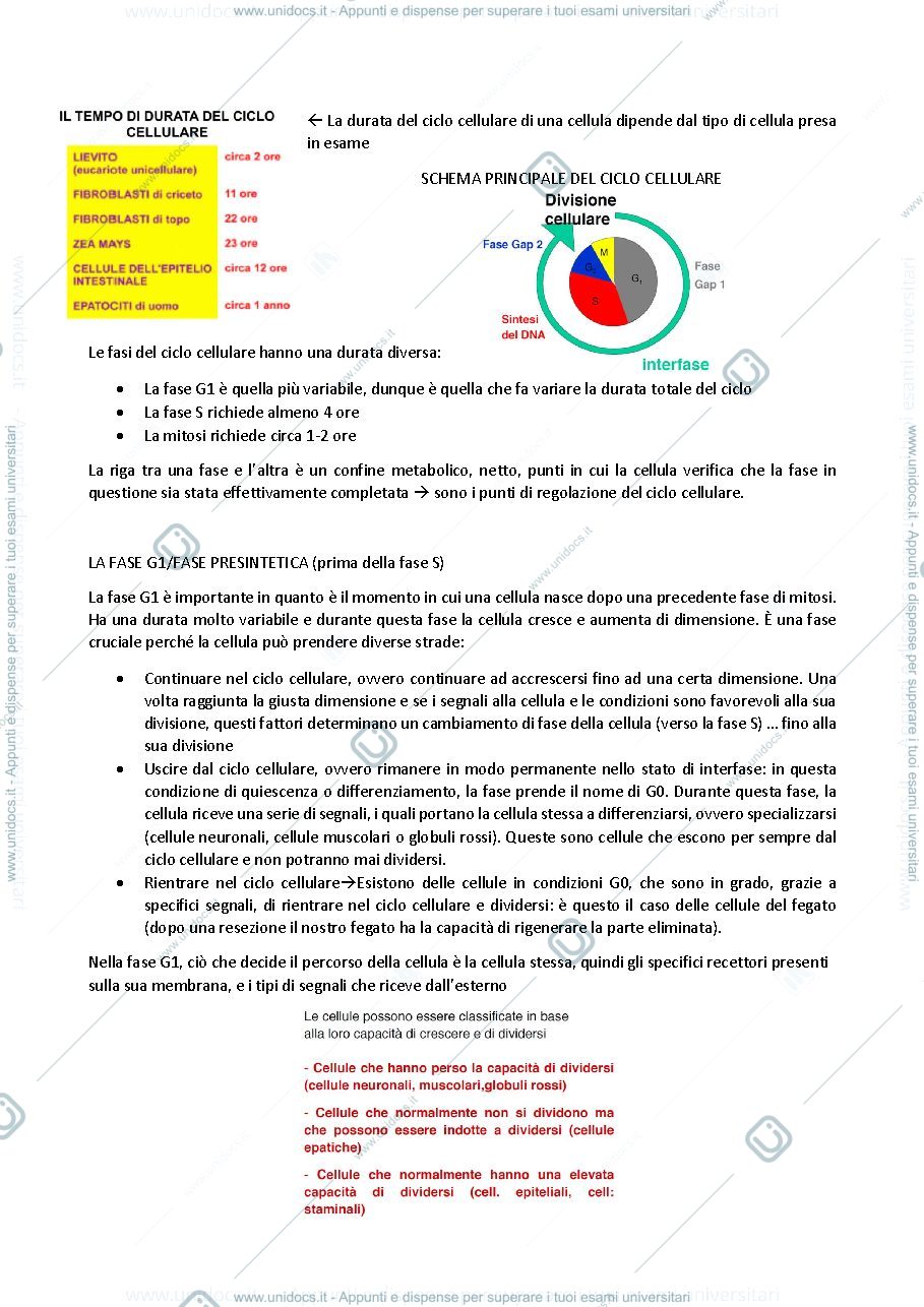 Anteprima pagina 3 — biologia generale e cellulare - Il Ciclo cellulare (mitosi e meiosi)