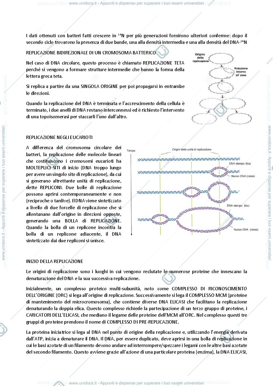 Anteprima pagina 2 — biologia generale e cellulare - Duplicazione del DNA