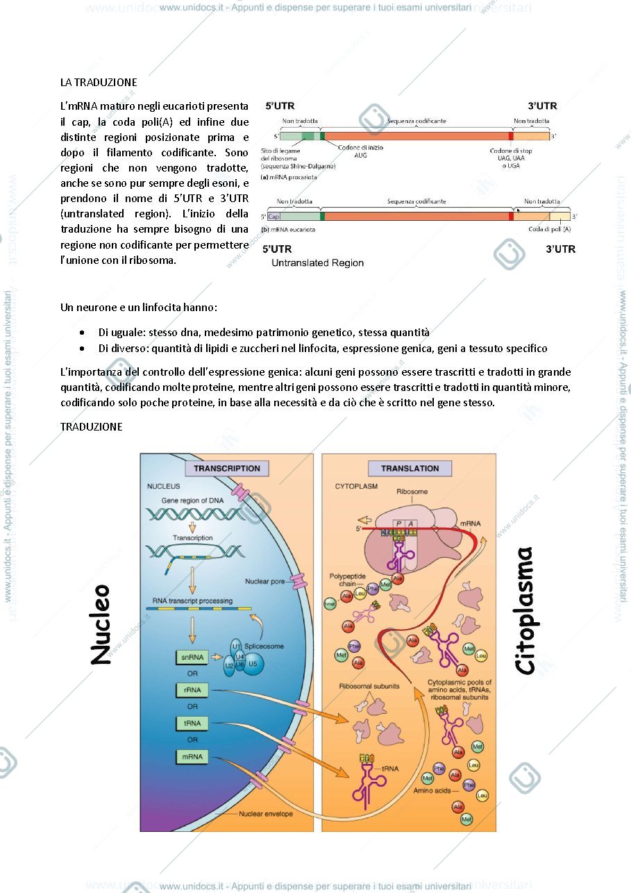 Anteprima pagina 1 — biologia generale e cellulare - Traduzione
