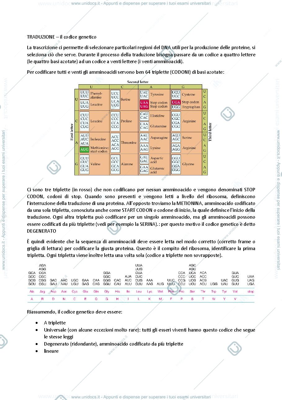 Anteprima pagina 2 — biologia generale e cellulare - Traduzione