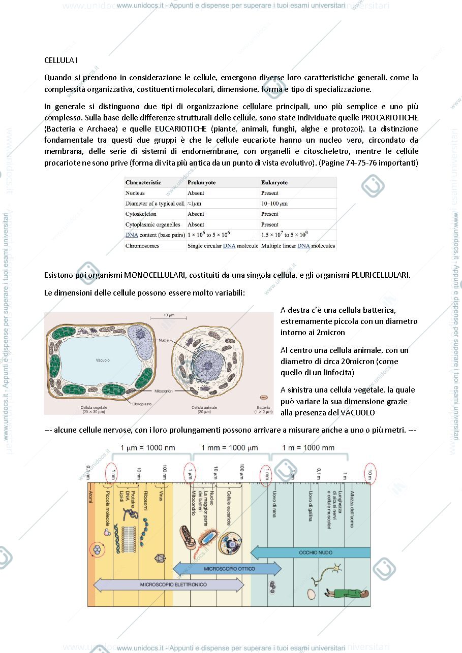 Anteprima pagina 1 — biologia generale e cellulare - La Cellula