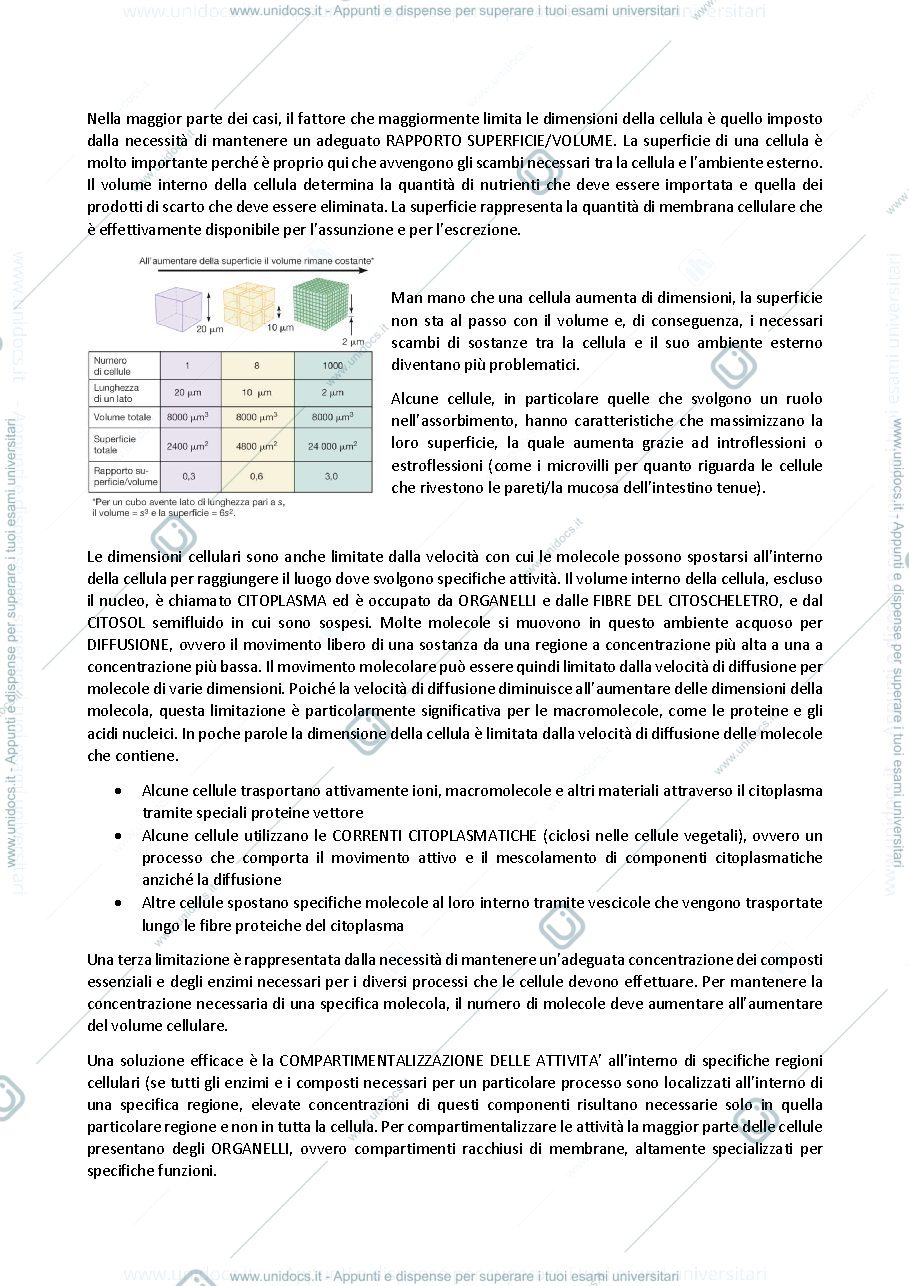 Anteprima pagina 2 — biologia generale e cellulare - La Cellula