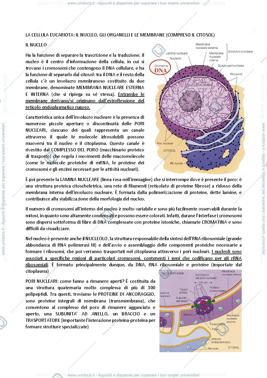 Anteprima pagina 3 — biologia generale e cellulare - La Cellula