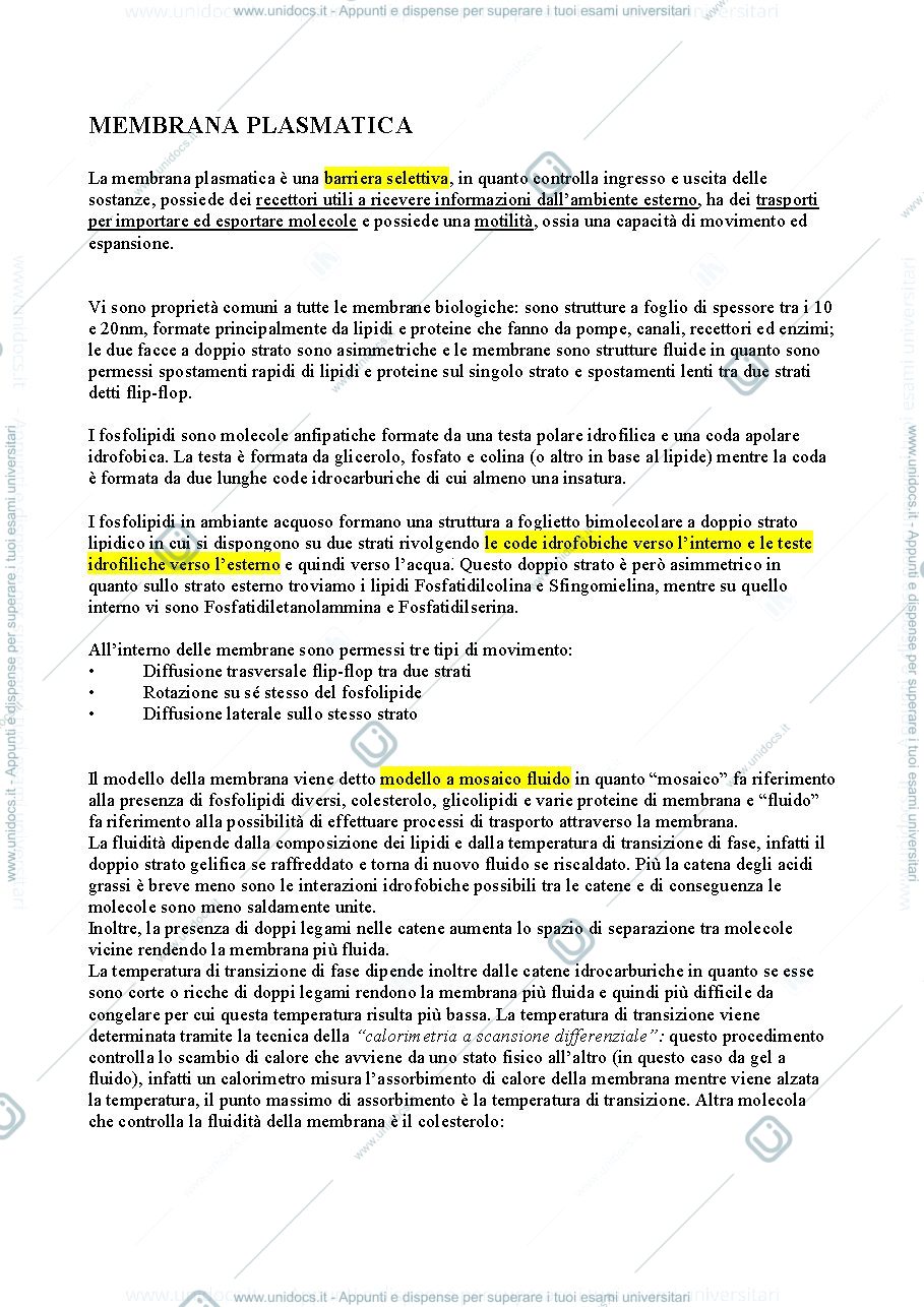 Anteprima pagina 1 — Membrana plasmatica 