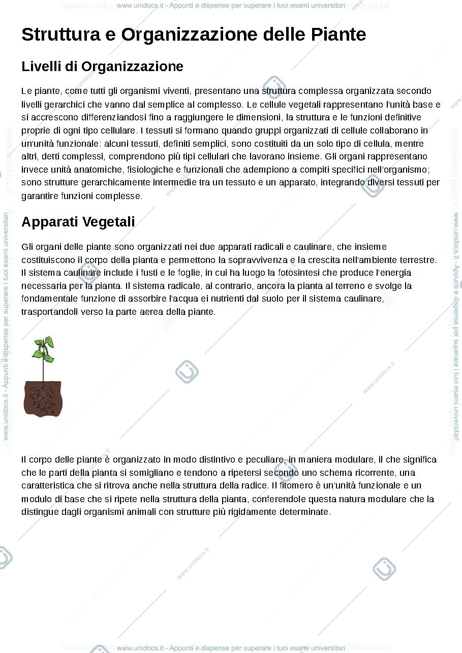 Anteprima pagina 1 — Biologia vegetale