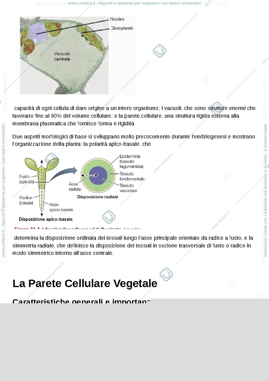 Anteprima pagina 3 — Biologia vegetale