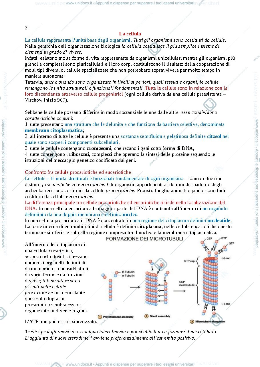 Anteprima pagina 1 — La cellula