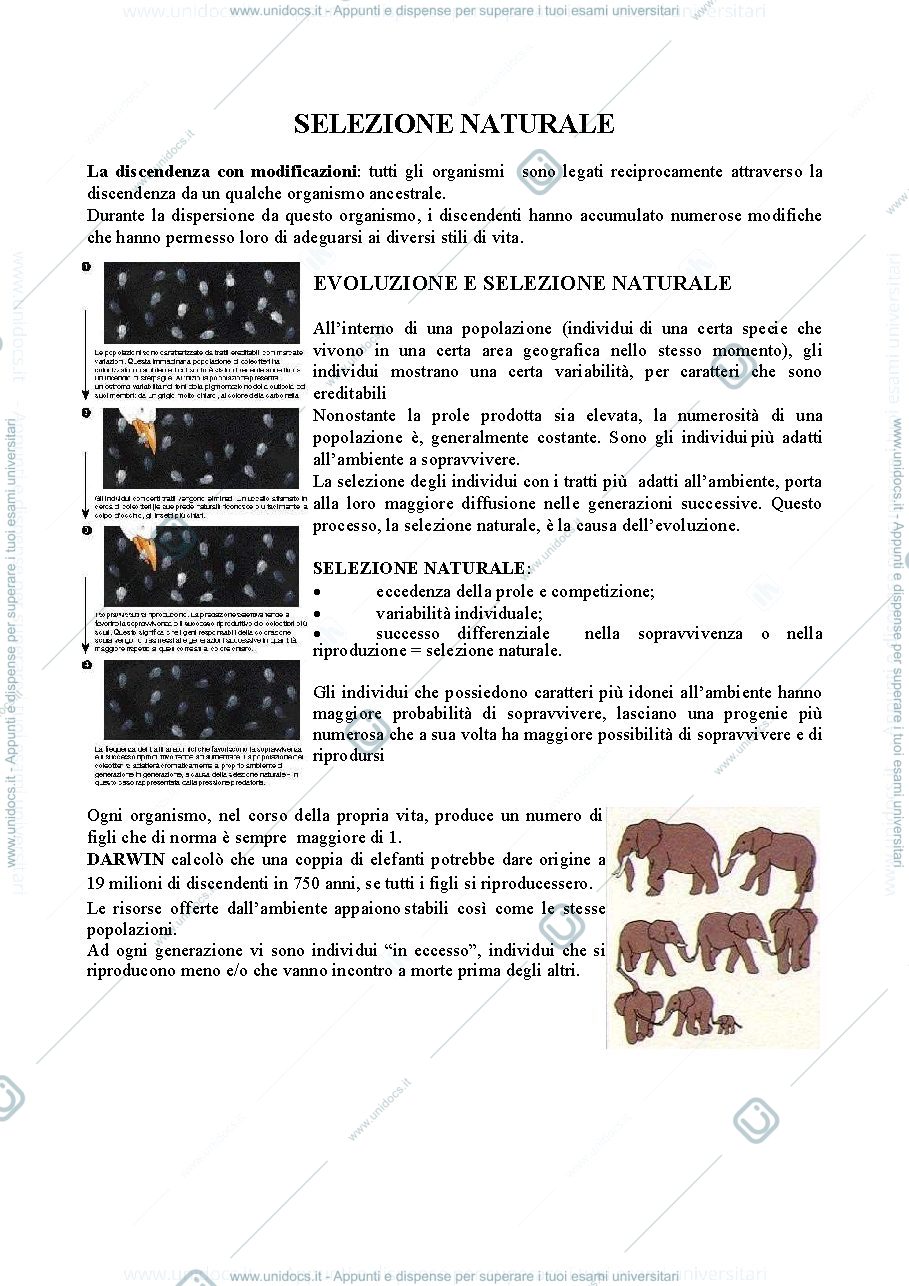 Anteprima pagina 1 — SELEZIONE NATURALE