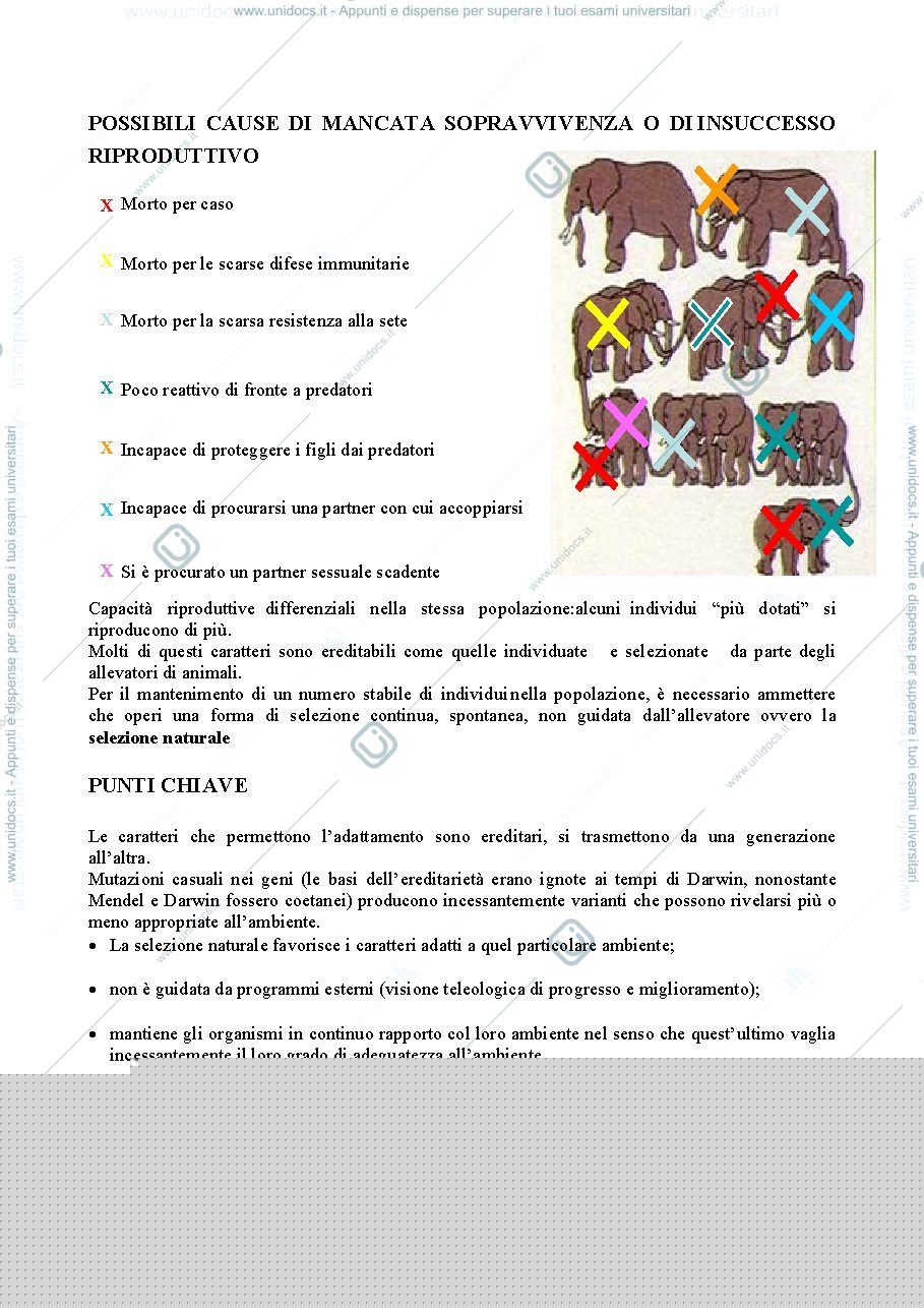 Anteprima pagina 2 — SELEZIONE NATURALE