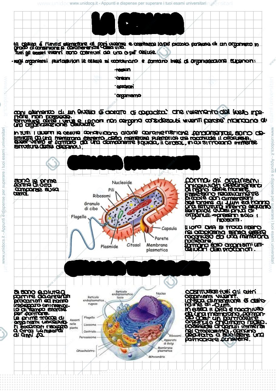 Anteprima pagina 1 — la cellula