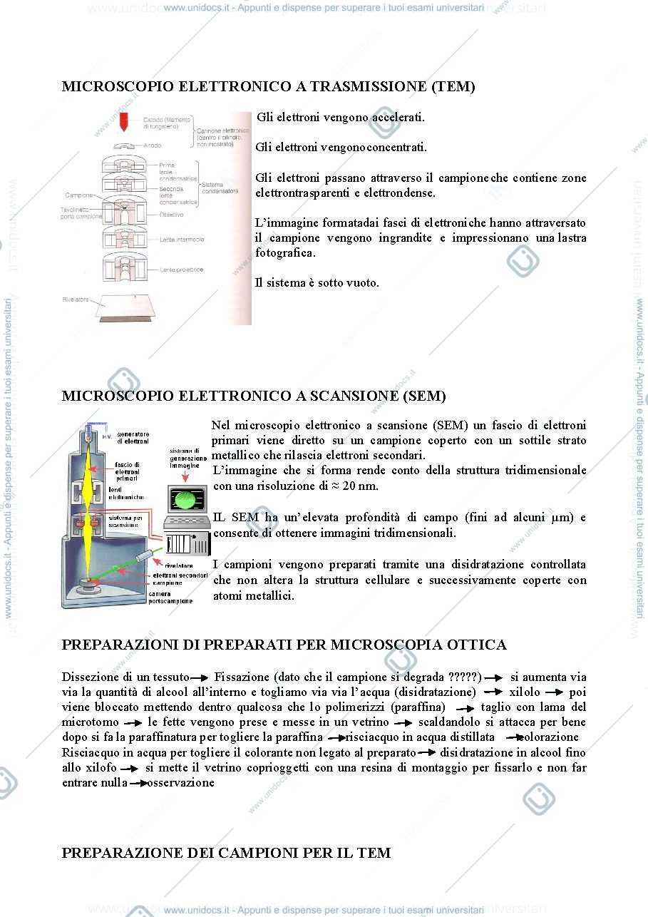 Anteprima pagina 1 — CENNI MICROSCOPIA + CELLULA PROCARIOTE E EUCARIOTE