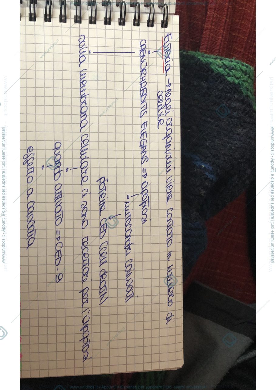 Anteprima pagina 1 — Parte di appunti per l’esame di biologia generale 