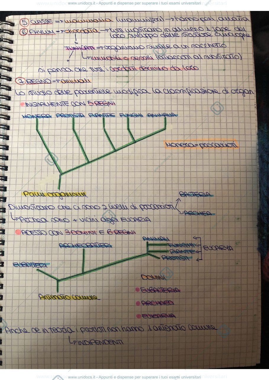 Anteprima pagina 3 — Parte di appunti per l’esame di biologia generale 