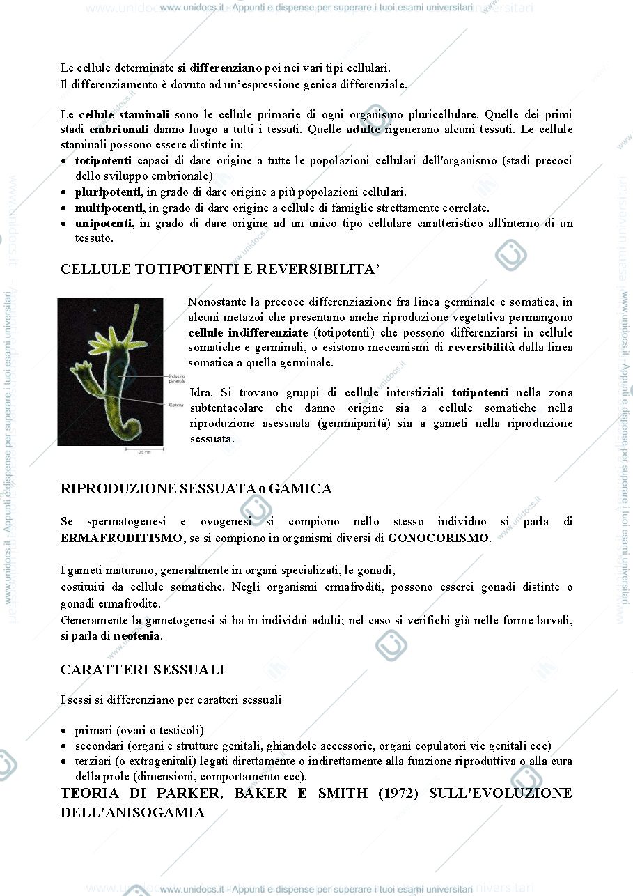 Anteprima pagina 2 — RIPRODUZIONE SESSUATA E ASESSUATA + ERMAFRODITISMO + DETERMINAZIONE DEL SESSO