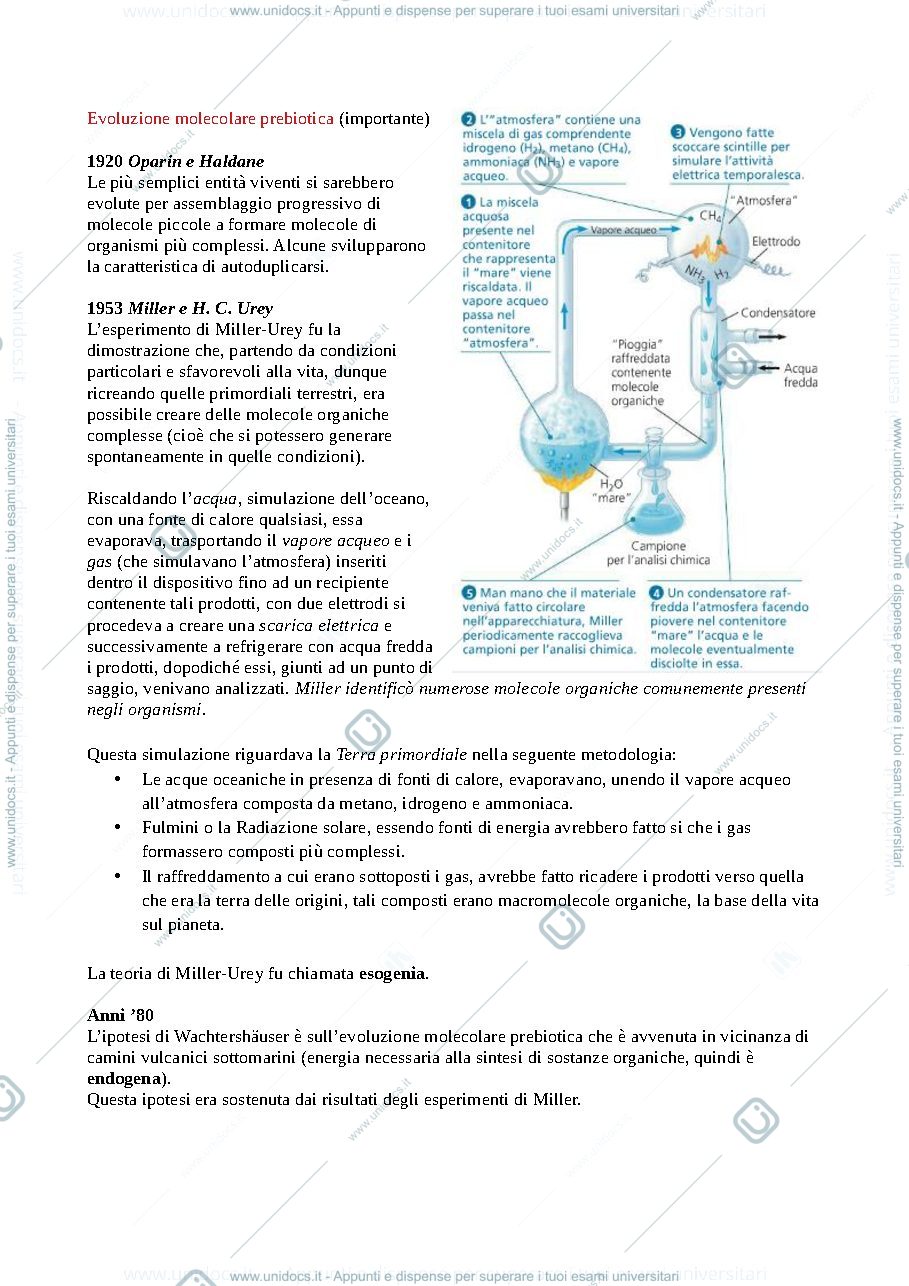 Anteprima pagina 2 — polimeri biologici