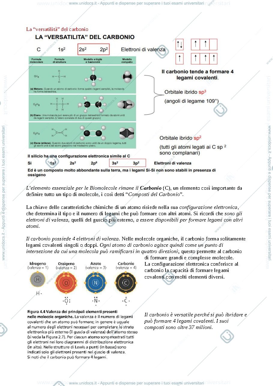 Anteprima pagina 3 — polimeri biologici
