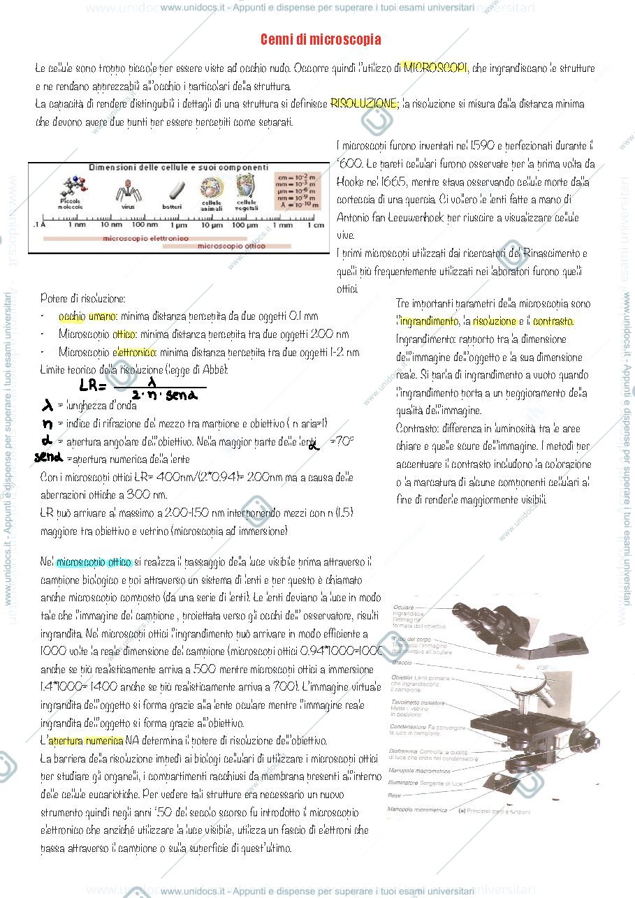 Anteprima pagina 1 — Cenni di microscopia e cellula eucariotica