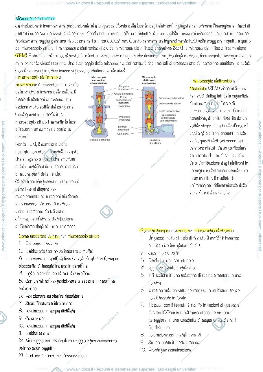 Anteprima pagina 2 — Cenni di microscopia e cellula eucariotica