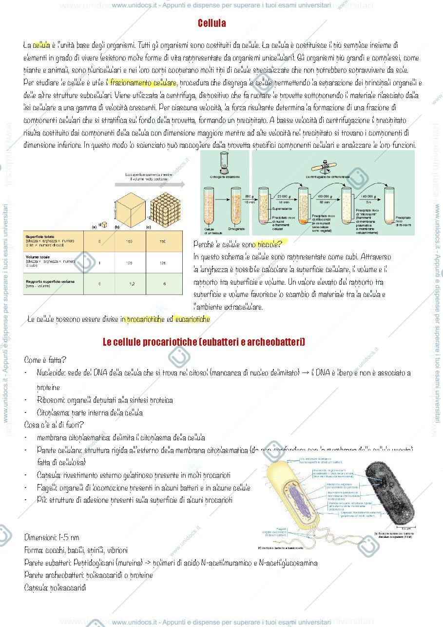 Anteprima pagina 3 — Cenni di microscopia e cellula eucariotica