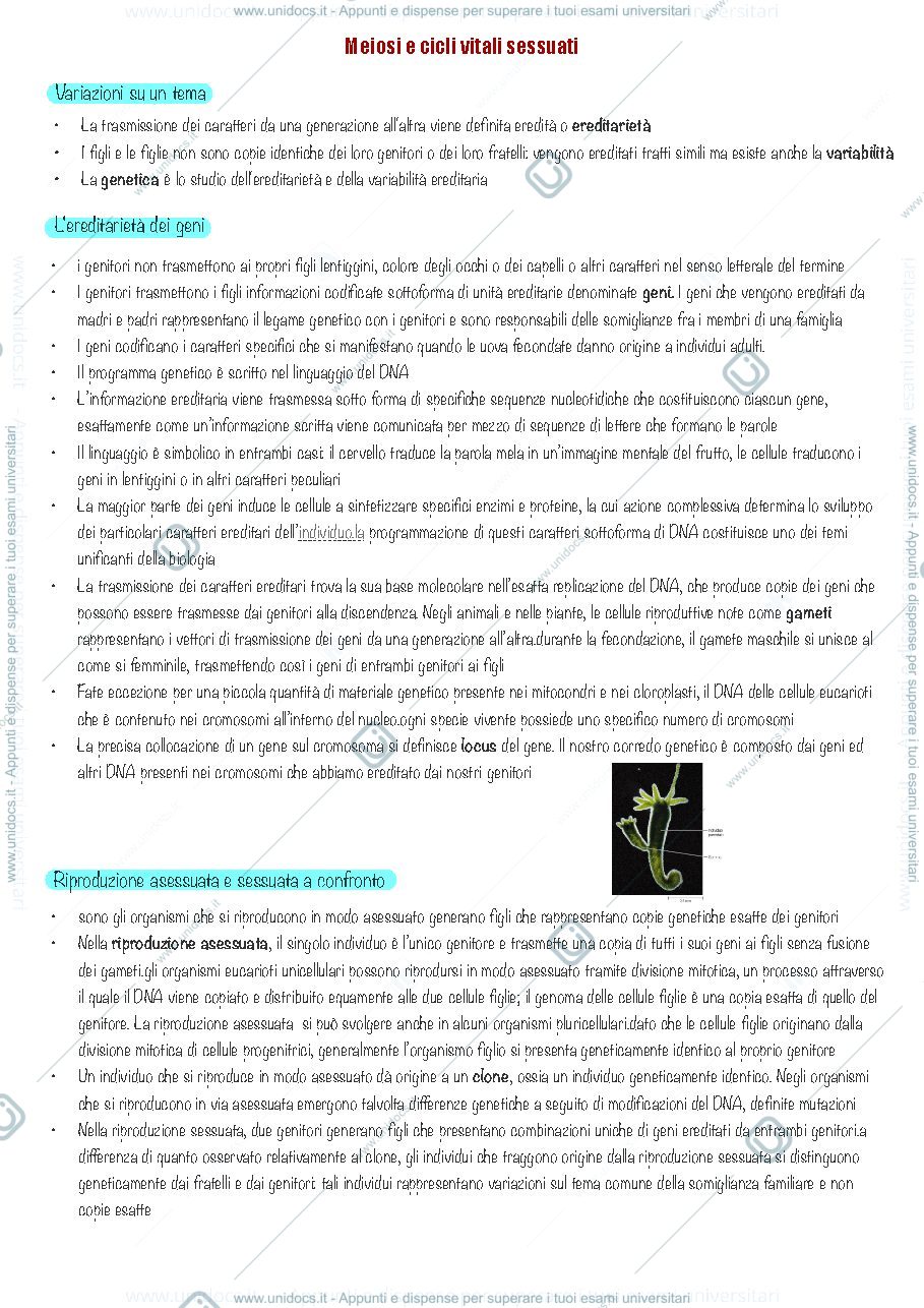 Anteprima pagina 1 — Meiosi e cicli vitali sessuati