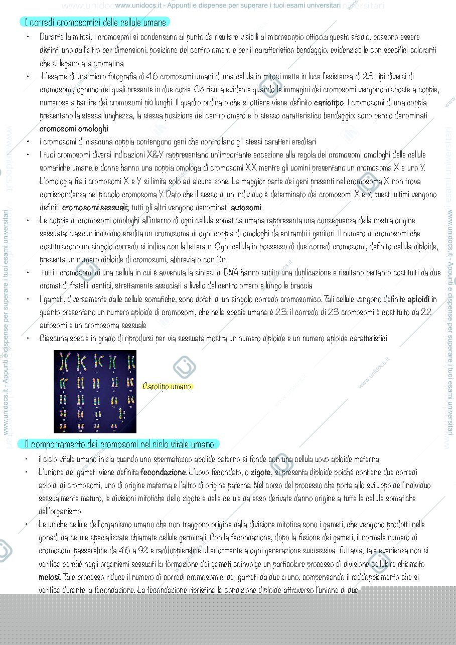 Anteprima pagina 2 — Meiosi e cicli vitali sessuati