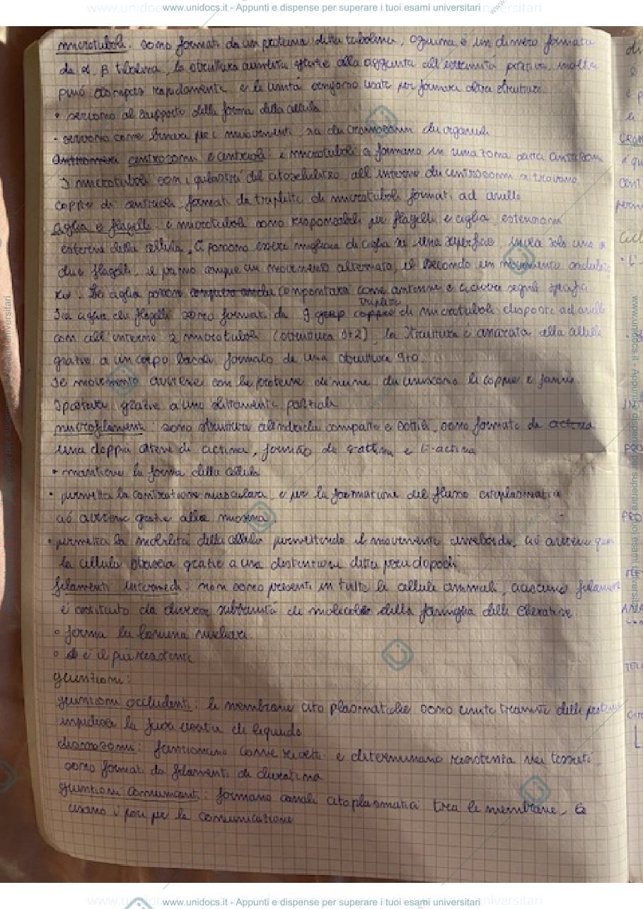 Anteprima pagina 1 — biologia Professoressa Dani