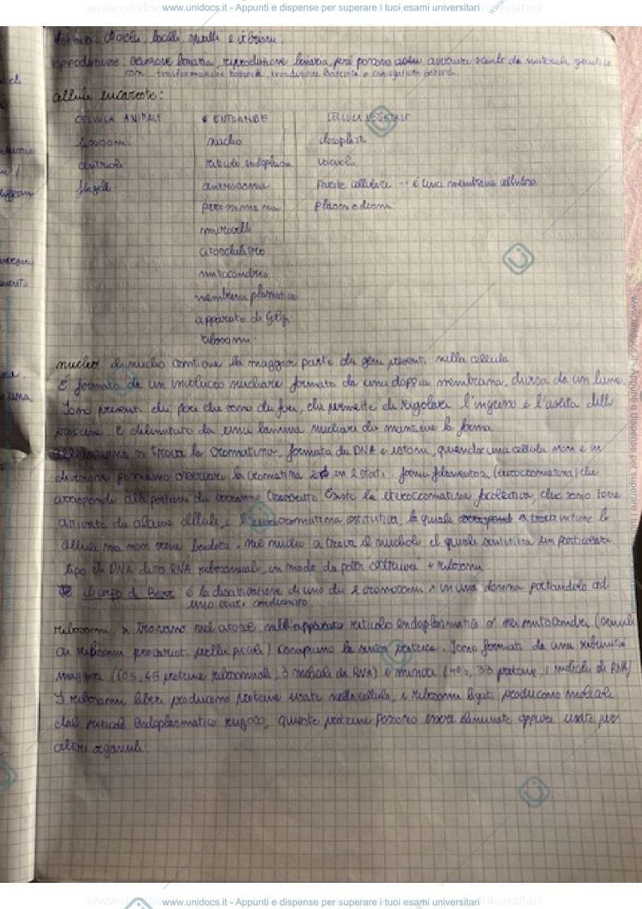 Anteprima pagina 2 — biologia Professoressa Dani