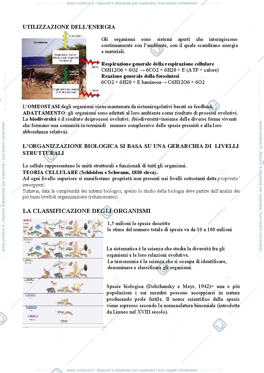 Anteprima pagina 2 — INTRODUZIONE BIOLOGIA GENERALE + CENNI ALLA MICROSCOPIA