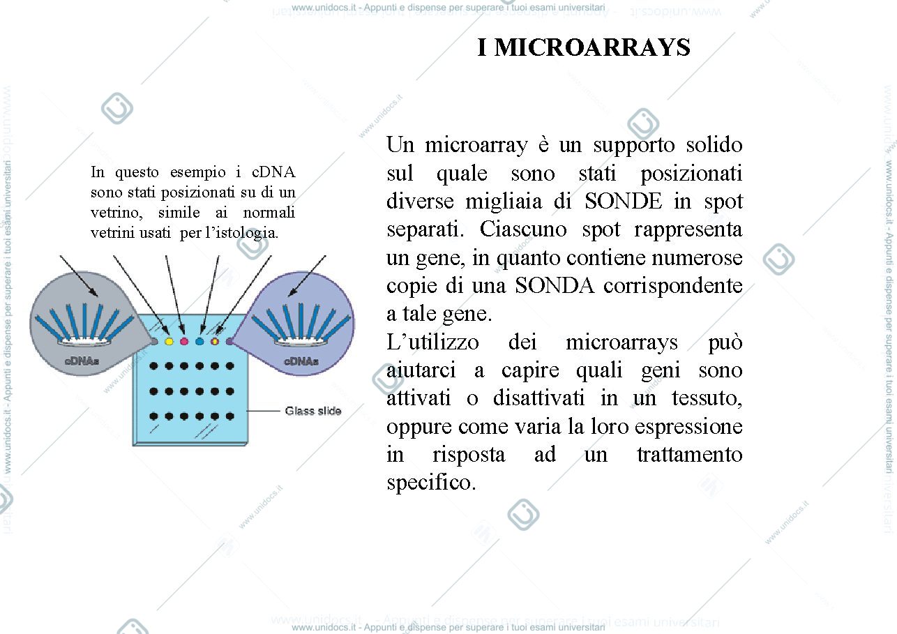 Anteprima pagina 2 — ARRAYS