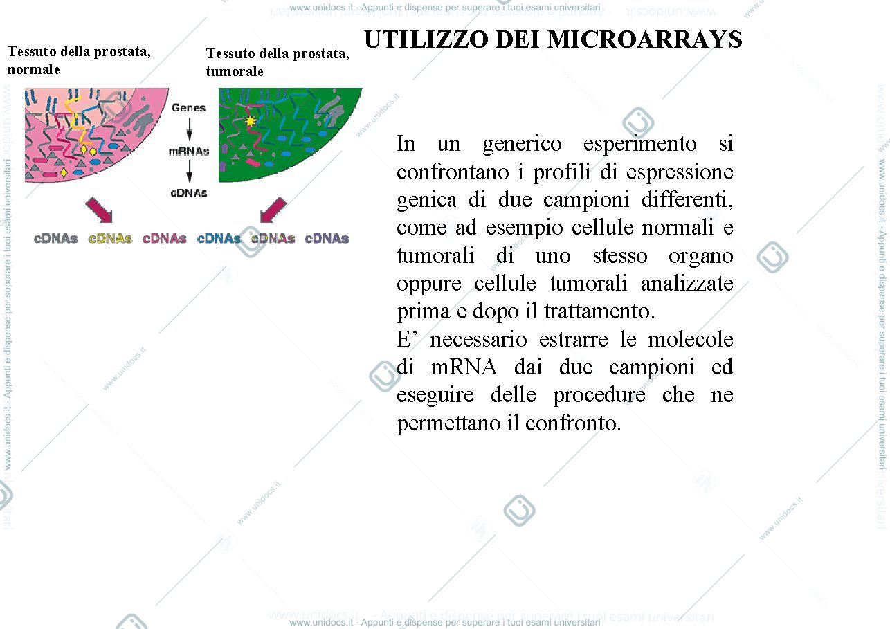 Anteprima pagina 3 — ARRAYS