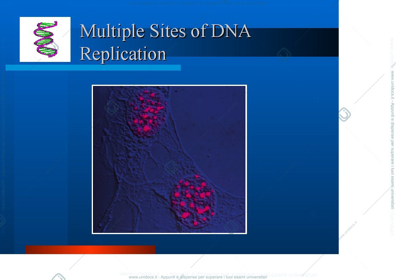 Anteprima pagina 2 —  DNA E RIPARO