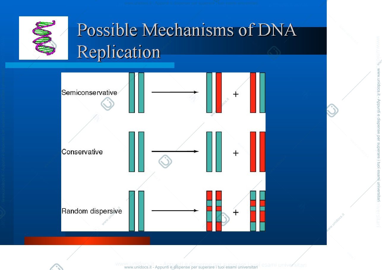 Anteprima pagina 3 —  DNA E RIPARO