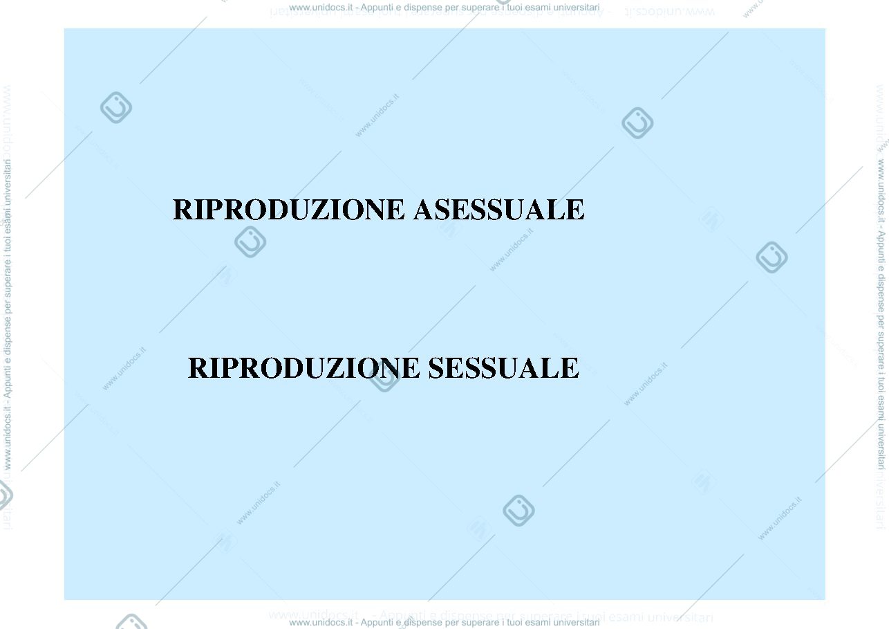 Anteprima pagina 1 — Riproduzione
