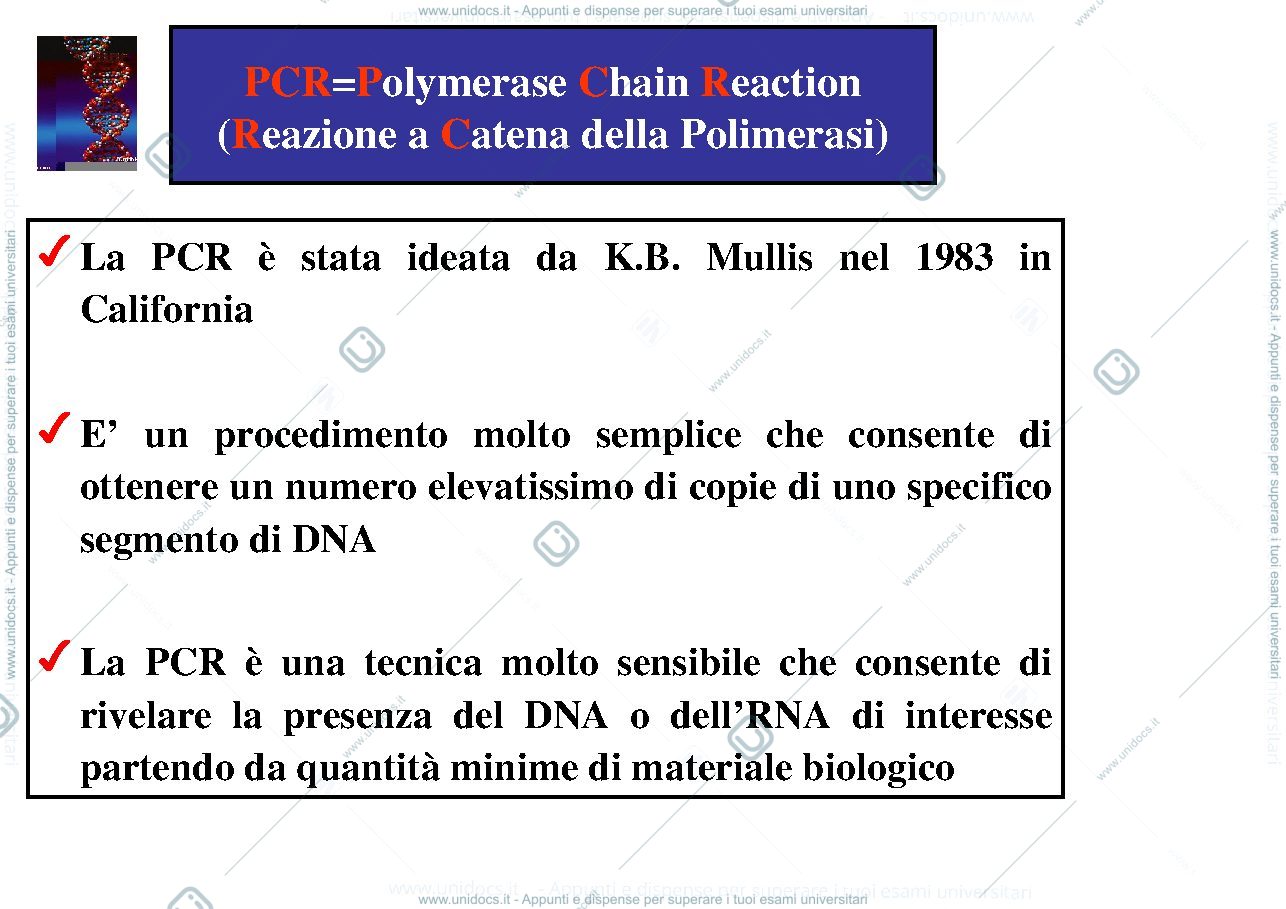 Anteprima pagina 1 — PCR