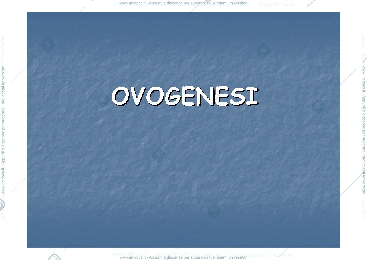 Anteprima pagina 1 — ovogenesi