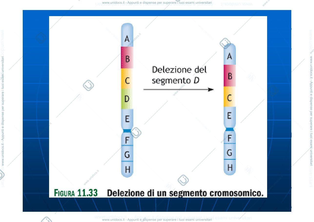 Anteprima pagina 3 — mutazioni cromosomiche