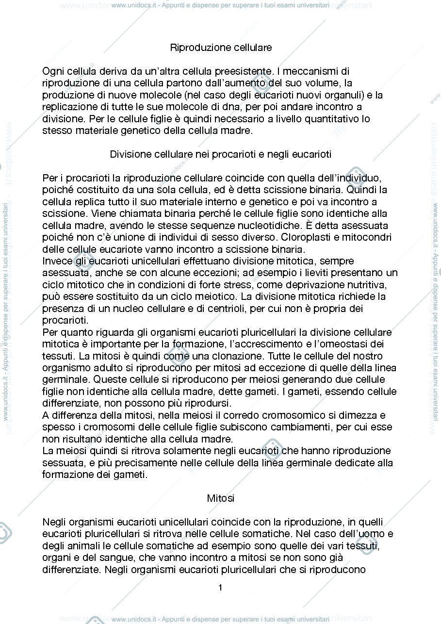 Anteprima pagina 1 — Riproduzione cellulare e mitosi