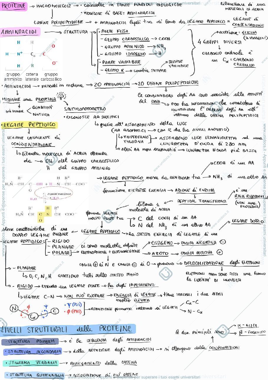 Anteprima pagina 2 — Biologia Generale