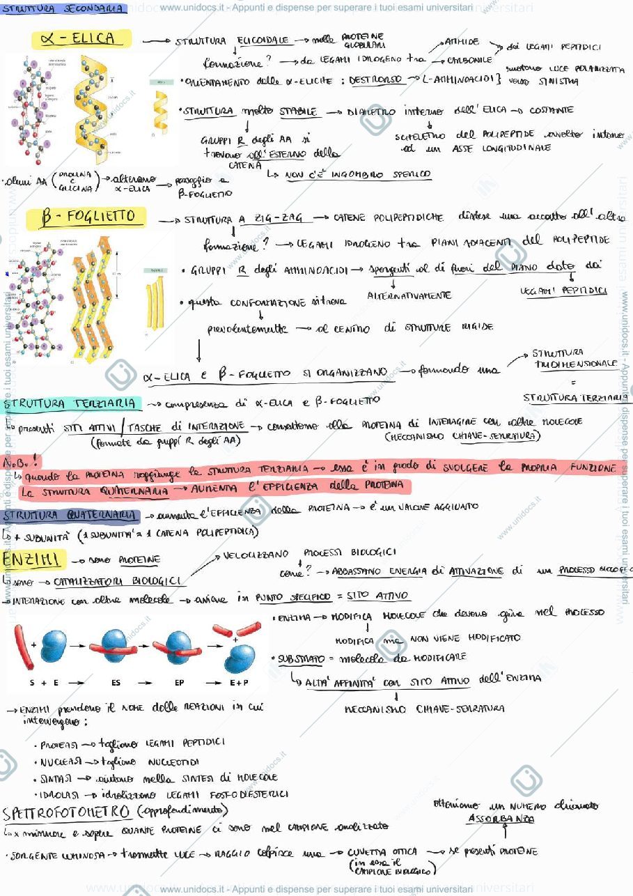 Anteprima pagina 3 — Biologia Generale